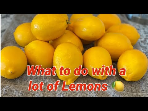 How to preserve Lemons | What to do with a lot of Lemons?