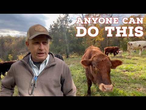 Start Raising Cattle WITHOUT Spending A Fortune