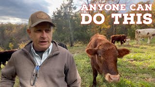 Start Raising Cattle WITHOUT Spending A Fortune
