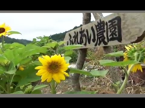 東日本大震災シリーズ7　地域の絆を再生へ～女川・復興農園の記録～