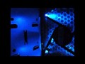 Antec 300 Computer Rig 2010