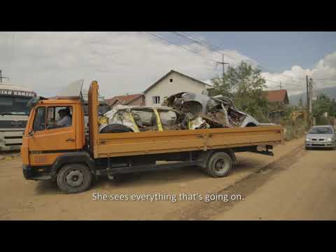 FLOWERS OF THE WATER / ЦВЕЌИЊА НА ВОДАТА