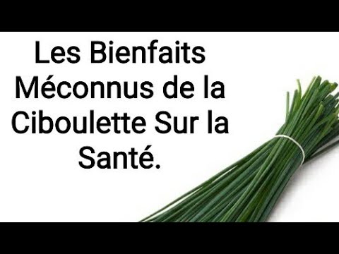 , title : 'Les Bienfaits Méconnus de la Ciboulette Sur la Santé#bienfaits#raouf_biologiste'