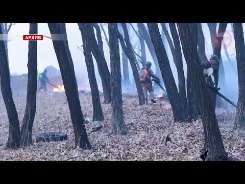 📸 Видеокамеры с элементами искусственного интеллекта появятся в Минлесхозе Приморья