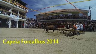 preview picture of video 'Filme Capeia Arraiana - Forcalhos 2014'