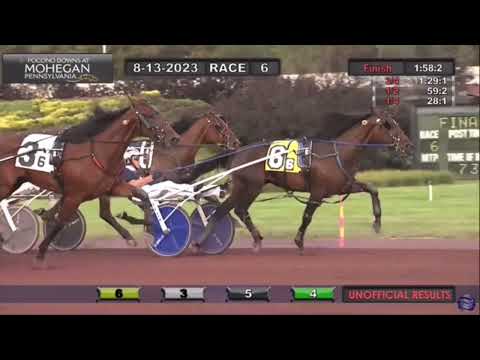 Weekly Highlights: Aug 13 - 19/23