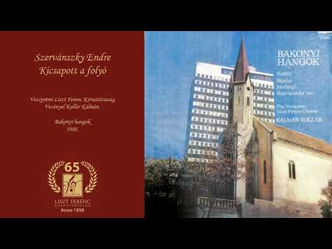 Szervánszky Endre: Kicsapott a folyó (Veszprémi Liszt Ferenc Kórustársaság)
