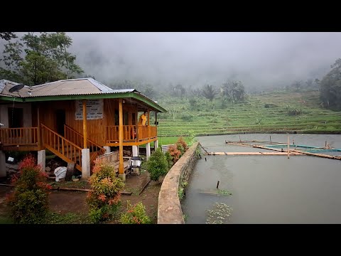 Living in the village, beautiful nature when it rains makes you feel at home