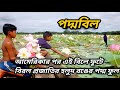 PoddoBil | Lotus Flower | Padma Bil Cumilla | পদ্মবিল দক্ষিণগ্রাম কুমিল্লা ।