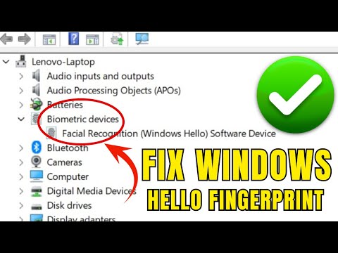 Windows Hello Fingerprint Not Working on Windows 11/10 | Fix Biometric Login