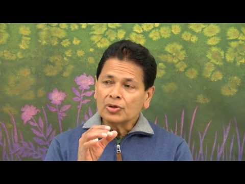 Ways to absorb and assimilate logically understood insights for a rich and meaningful life