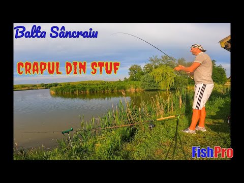 Pescuit la Balta Sâncraiu Cluj Prind Crapi Mari la Feeder în Munții Apuseni  #pescuit2024 #apuseni