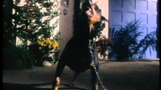 Chad & Jeremy  Bite the Bullet 4 min 35 sec  12:16:83 Rocshire Records Red Car  Peter Sinclair Limel