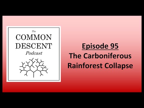 Episode 95 - The Carboniferous Rainforest Collapse