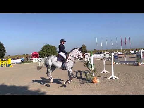 LEVINO (8yo Levisonn) 10.10.21 Langenau - 1. Platz SPR S* 140 cm