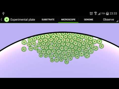 Cell Lab: Evolution Sandbox Video