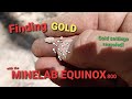 Detecting small gold with the Minelab Equinox 800 - Ep 124 - Swingin' wit' Willy