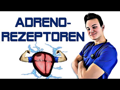 ADRENALIN und NORADRENALIN EINFACH ERKLÄRT! Adrenozeptoren und Wirkung