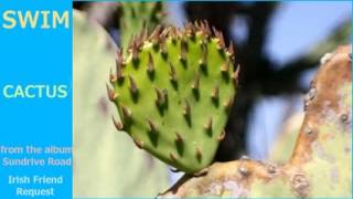 Swim - Cactus (1990)