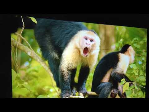 TS-FHD11+ 4k 3D LED LCD SMART Android 9.0 Bluetooth Wireless Portable Projector