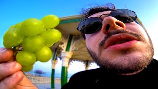 James Marriott - Grapes (Official Music Video)