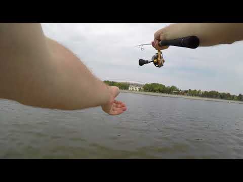 S832H 12-56 грамм