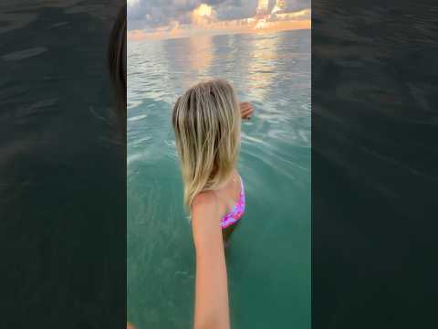 sunrise shelling #summer #florida #travel #shelling #seashells #shells #floridabeach #beach #ocean