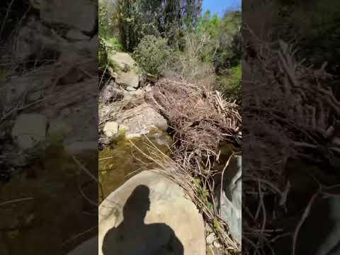 Estero el Manzano lleno de agua #travel #turismochile #viajes #recorriendochile #santiago