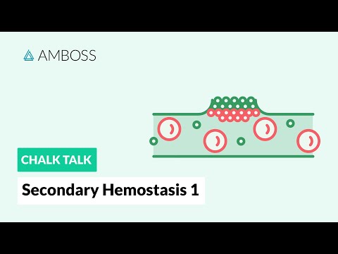 Secondary Hemostasis - Part 1: Coagulation Cascade