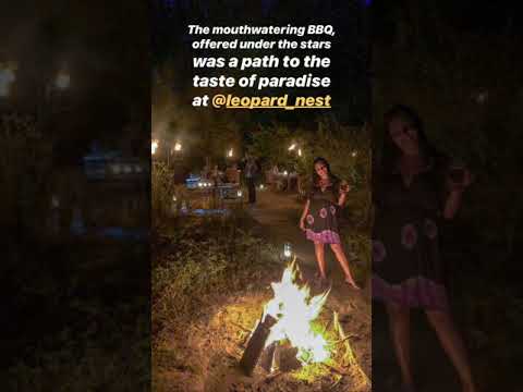 Simply extraordinary & Unforgettable Stay at middle of the Jungle on Leopard Nest!