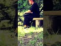 RAV VAST D major handpan FROG DRUM ハンドパン