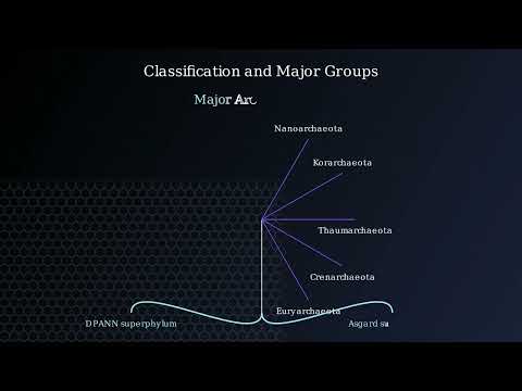 Archaea – Habitat, Structure, Characteristics, Importance, Examples - Video