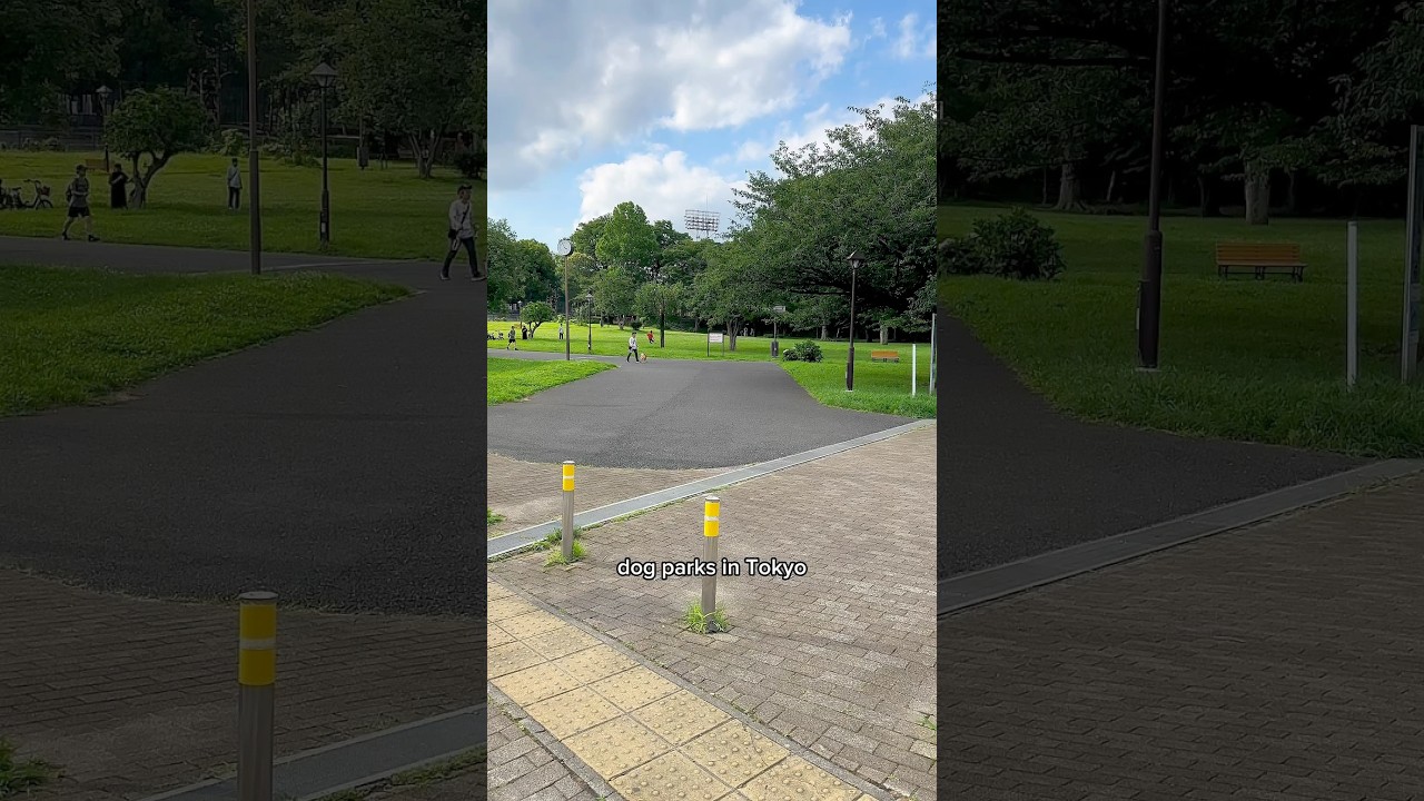 Dog parks in Tokyo