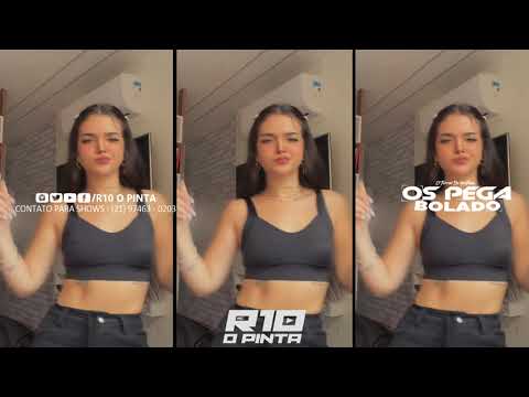 TCHECA TCHETCHECA AHHHH, ESSE É MEU MARRENTO vs MÚSICA DO TIKTOK [ DJ ELYCE ]