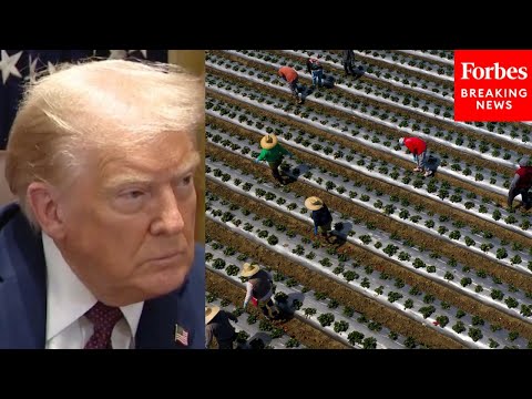 Trump Asked About H-2A Farmer Visa Reform: 'Do You Want To See That Before The Fall Harvest?'
