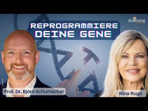 Epigenetische Reprogrammierung – Prof. Dr. Björn Schumacher über die Verjüngung von Zellen