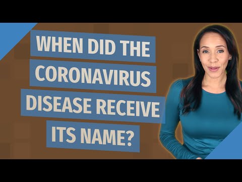 When did the coronavirus disease receive its name?