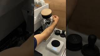 Eureka Mignon Single Dose