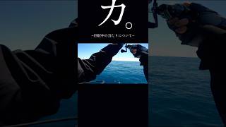 タイラバ回収中に　#釣り #タイラバ #怪獣
