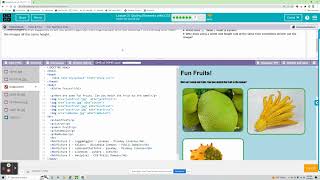 Unit 2: Lesson 11 - Styling Elements with CSS I Web Development (