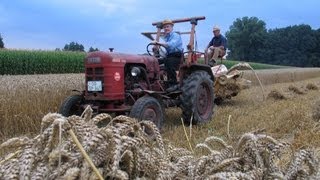 preview picture of video 'Historischer Feldtag - Getreide-Ernte u. Dreschen'