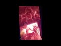 Trammps Disco Inferno Reverse