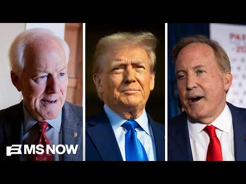 Cornyn vs Paxton primary a 'Texas-sized test' on Trump’s hold on GOP