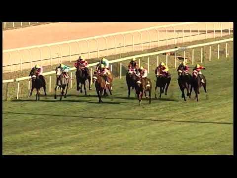 Tempesti - Premio Brigadier Gerard