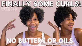 Natural Hair Detox: Week 18 of No Raw Butters & Oils | Best Wash N Go Yet!! | Gabrielle Ishell
