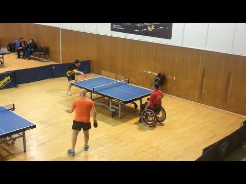 Đorđe Stanić - Mitar Palikuća