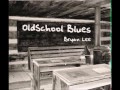 Bryan Lee  - Old Man Blues