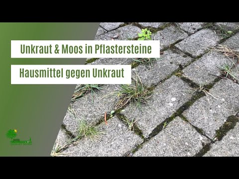 Unkraut & Moos aus Fugen und Pflastersteinen entfernen | Hausmittel gegen Unkraut | Gartentipps