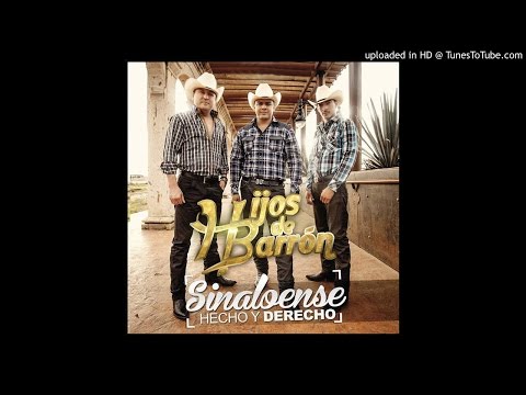 Cortinas Guindas- Hijos De Barron (2014)
