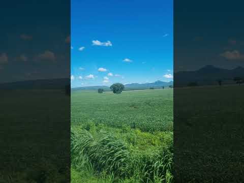 Próximo a Niquelândia - Goiás